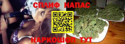 дурь Гусев