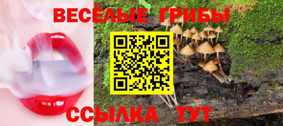 Дербент  Галлюциногенные грибы мицелий  Псилоцибиновые грибы мицелий  Вход с VPN 